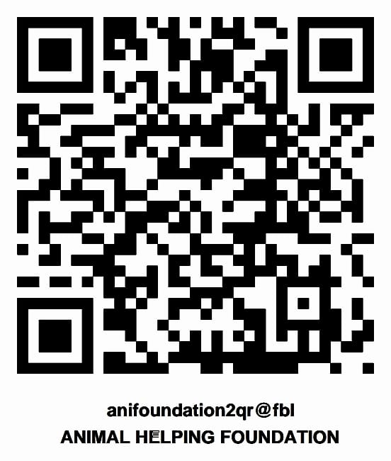UPI QR code - Animal Helping Foundation