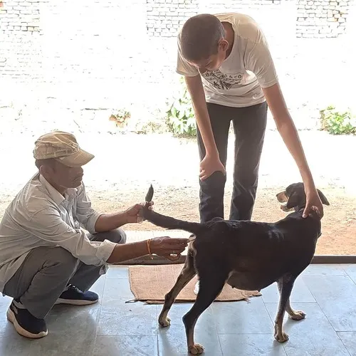 What We Are Doing: Rescue & Medical Care