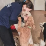 From the Streets to Safety: A Second Chance