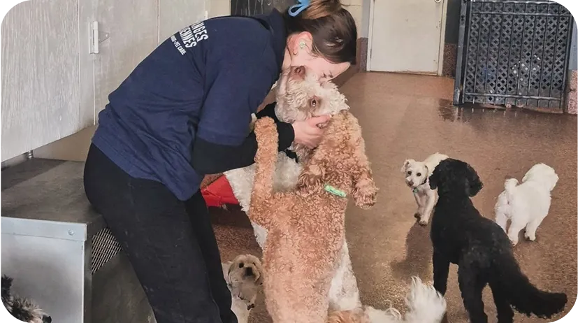 From the Streets to Safety: A Second Chance