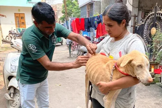 Rescue & Rehabilitation