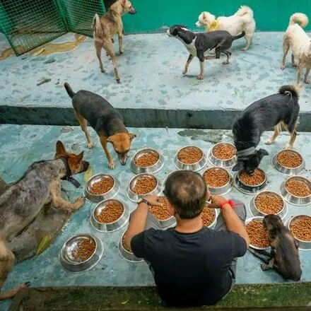 Food, Shelter & Protection